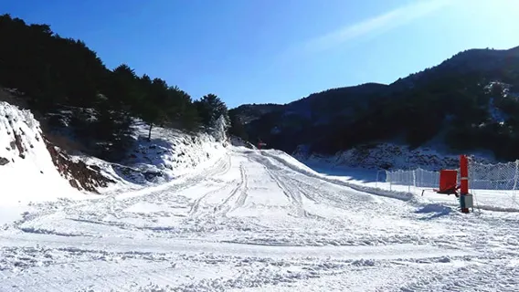 滑雪