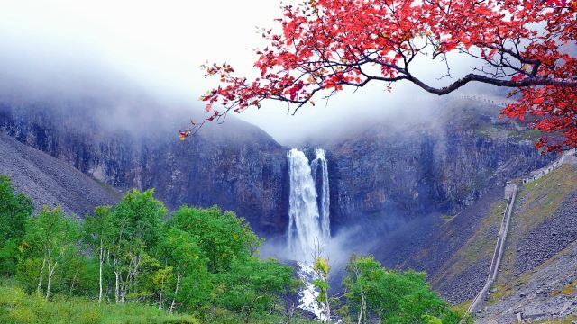 長白山北坡長白山天池純玩一日遊【上門接〓萬達私家團】