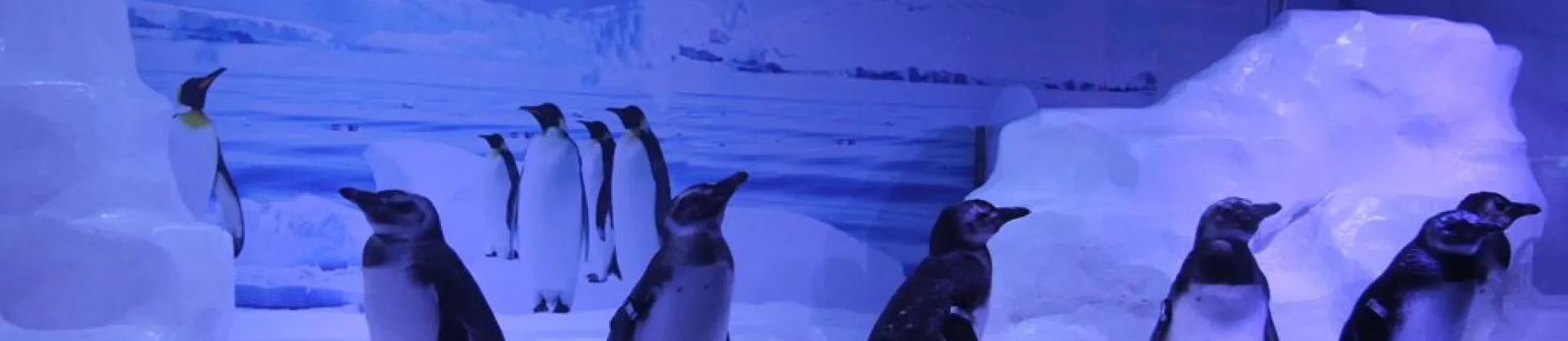 Family-Friendly Attractions