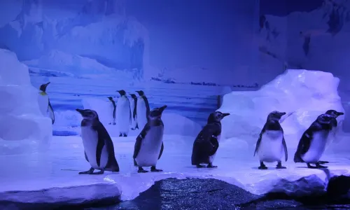 北海海底世界