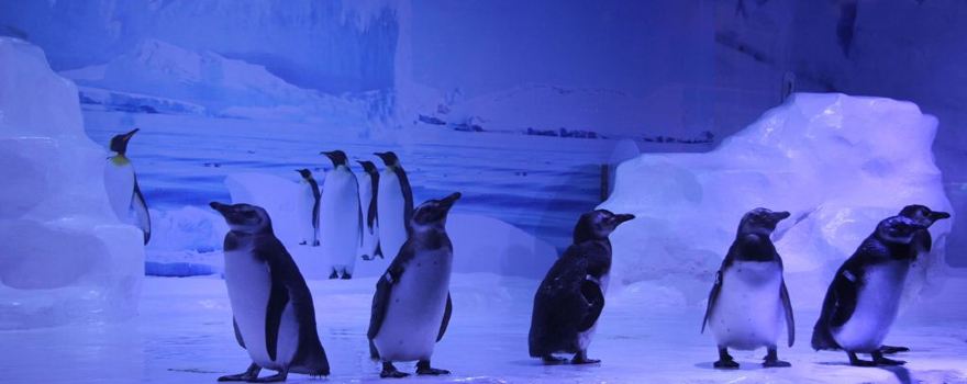 Beihai Underwater World