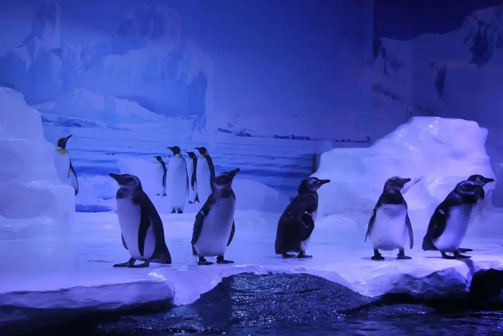 Hotels near Beihai Underwater World
