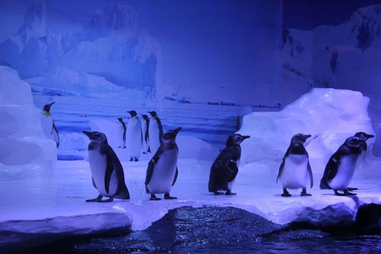 Beihai Underwater World