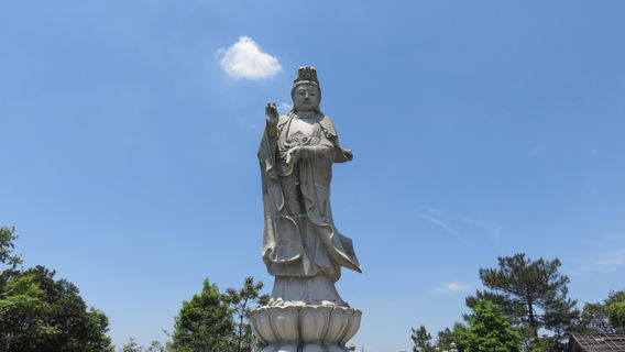di shui guan yin