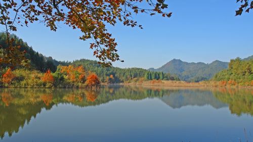 Qiandao Lake Longchuan Bay