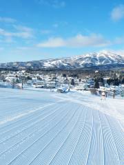 蛭野高原滑雪場
