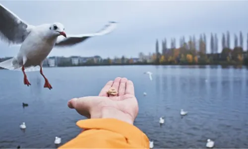 Tai Hu Yuantouzhu Scenic Spot