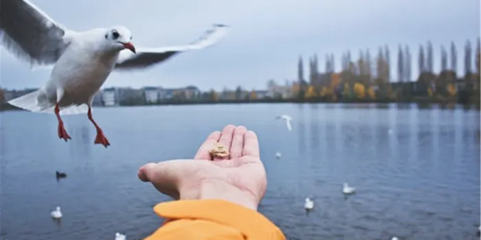 Tai Hu Yuantouzhu Scenic Spot image 1