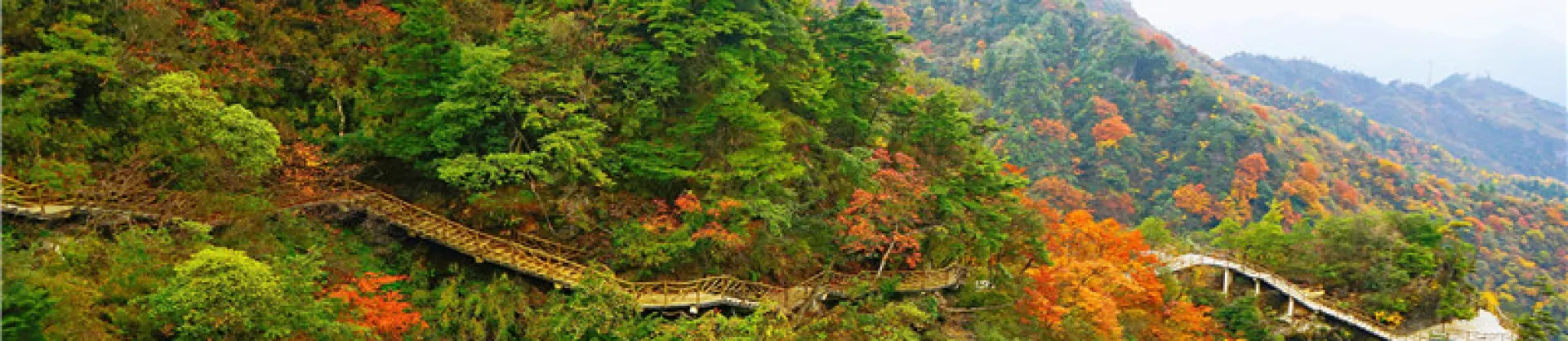 Attrazioni per la visione autunnale