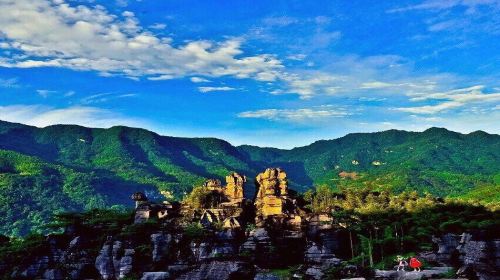 Western Bamboo and Stone Forest