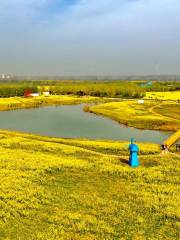 Chenqiao Songyuan Lake Wetland Park