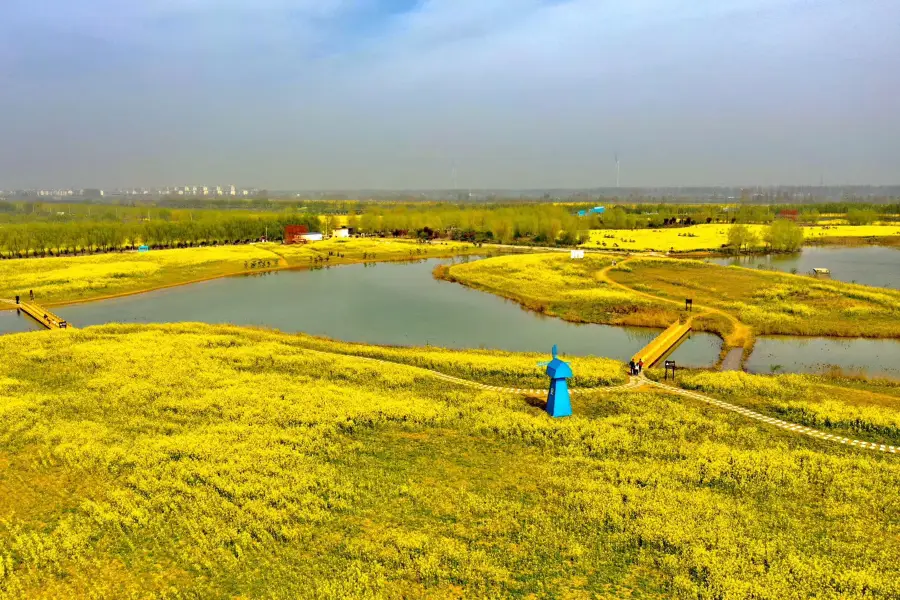 Chenqiao Songyuan Lake Wetland Park