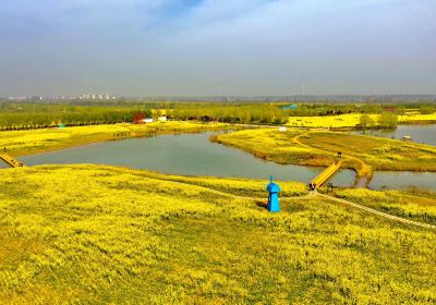 Chenqiao Songyuan Lake Wetland Park