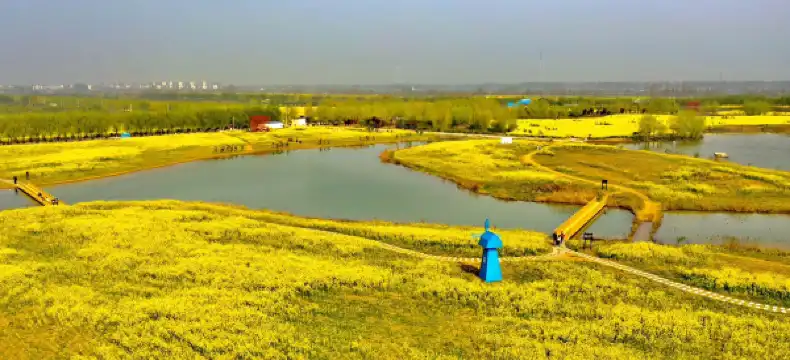 Hotels in Fengqiu