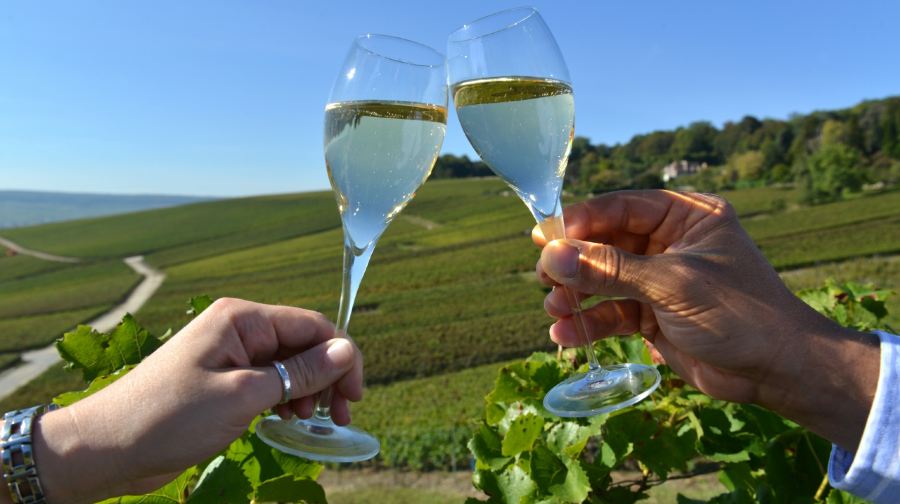法國巴黎出發酩悅酒莊蘭斯主教座堂香檳一日遊普通話司導酒店接送