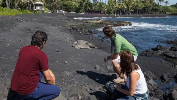 アメリカ、ハワイ島（ハワイ島）のハワイ火山国立公園への日帰りツアー