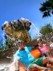 Disney's Typhoon Lagoon