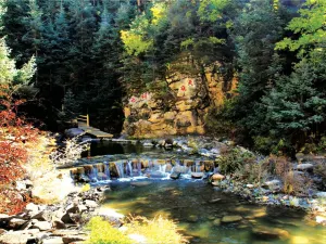 Yanzhi Mountain Forest Park