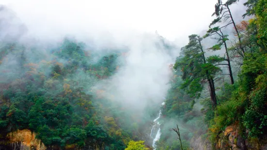 Tianmu Mountain Scenic Spot