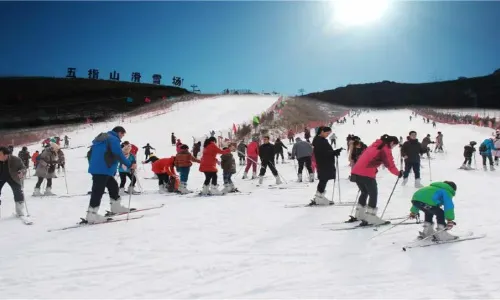 tai hang wu zhi shan hua xue chang