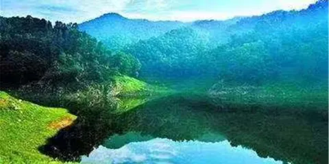 山東葯鄉森林公園