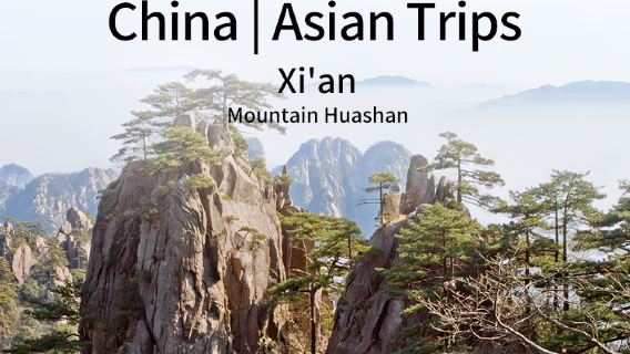HuayinTours