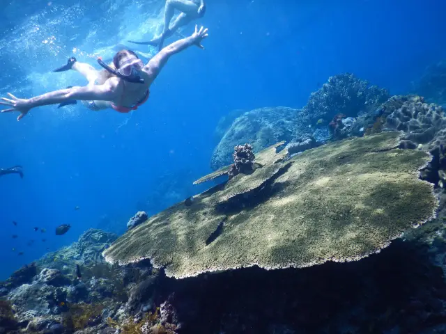 Bali Diving
