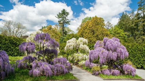 Longwood Gardens