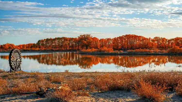 4_Ejina Populus Euphratica Tourist Area