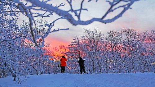 雪郷大雪谷