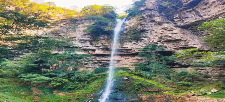 Hotels in Dushan