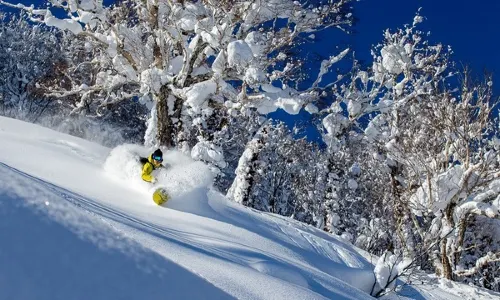 Kiroro Snow World