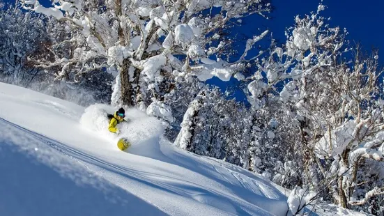 Kiroro喜樂樂滑雪場