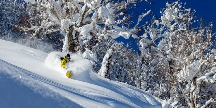 Kiroro Snow World image 1