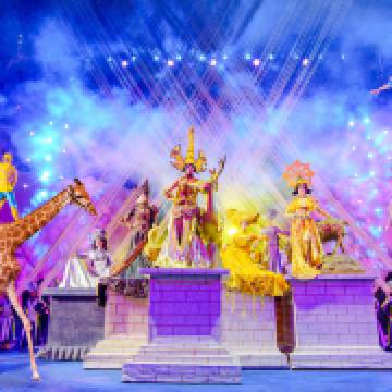 Exhibitions & events