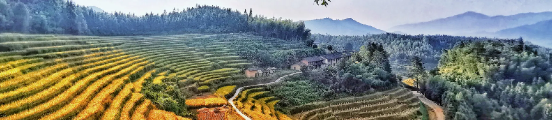 Attrazioni per la visione autunnale