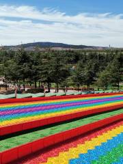 Outdoor Training Park For Children