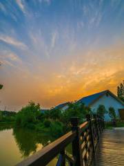 Jiangxiang Ecological Garden （South Gate）