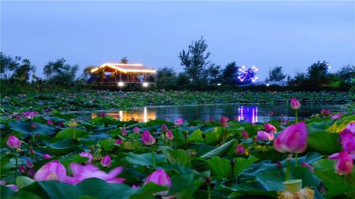 柳壕河濕地公園