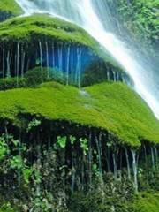 Jiulong Waterfall, Yun County