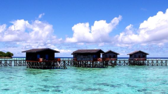 โปรโมชั่นจำกัดเวลาตั้งแต่เมษายนถึงมิถุนายน! ลดกระหน่ำโดยตรง 2,000+รีสอร์ทหลงจู+โรงเรือนเพาะพันธุ์เต่าที่เชื่อถือได้