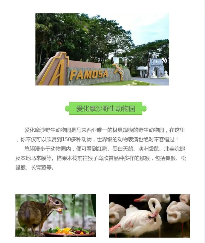 5_A' Famosa Safari Wonderland