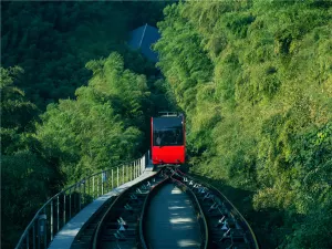 Tianmu Lake Nanshan Bamboo Sea Scenic Spot