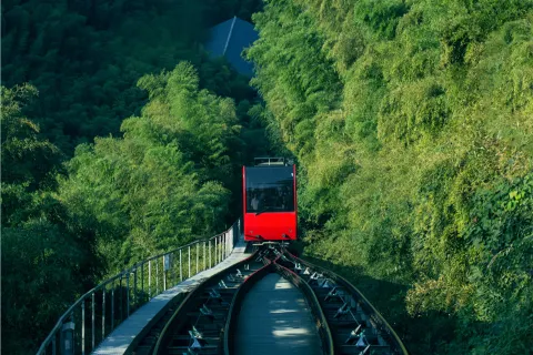 Tianmu Lake Nanshan Bamboo Sea Scenic Spot