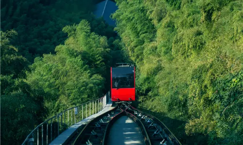 Tianmu Lake Nanshan Bamboo Sea Scenic Spot