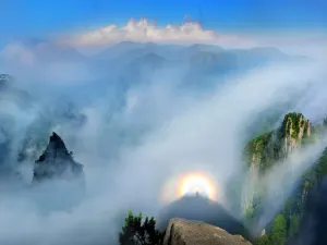 Yang Shi Mu