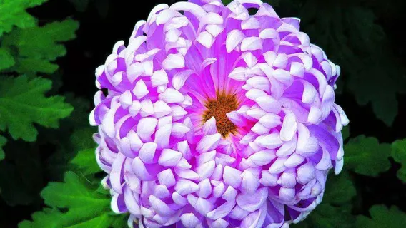 蓮花湖國家城市濕地公園