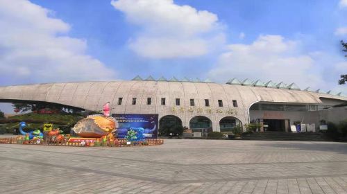 Zigong Dinosaur Museum