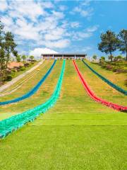 Xiangzhi (Fragrant Paper) Ditch Happy Garden