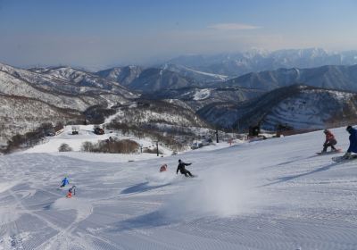Kagura ski resort